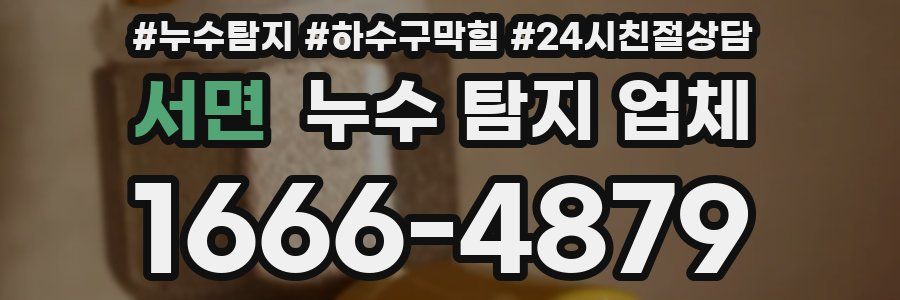 서면 누수 탐지 업체
