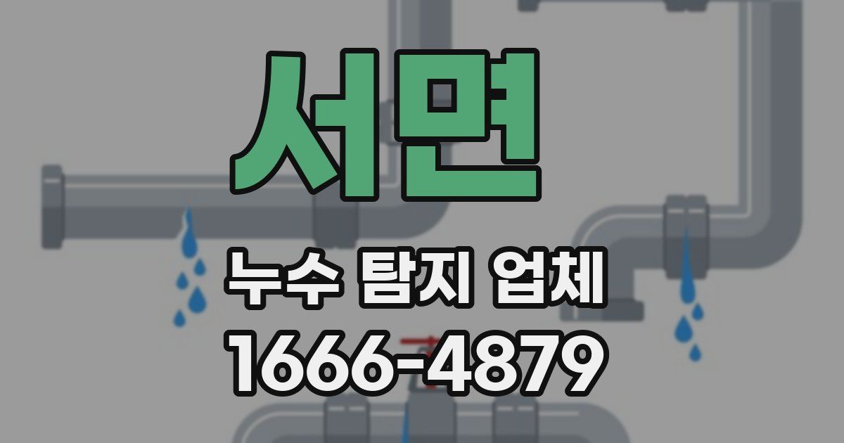 서면 누수 탐지 업체