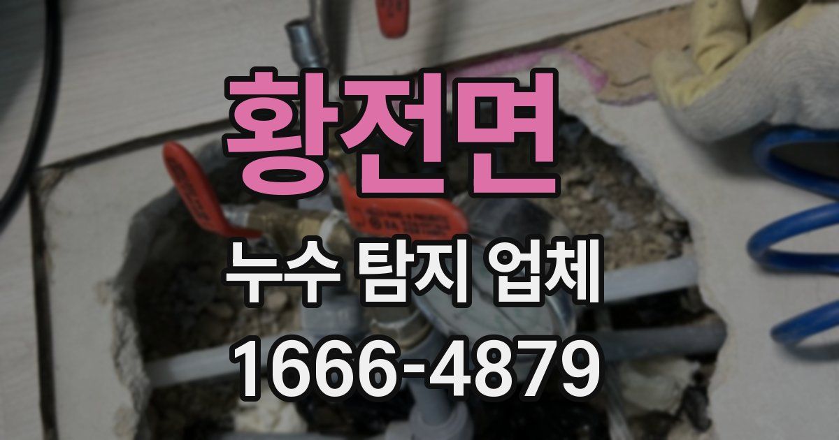 황전면 누수 탐지 업체