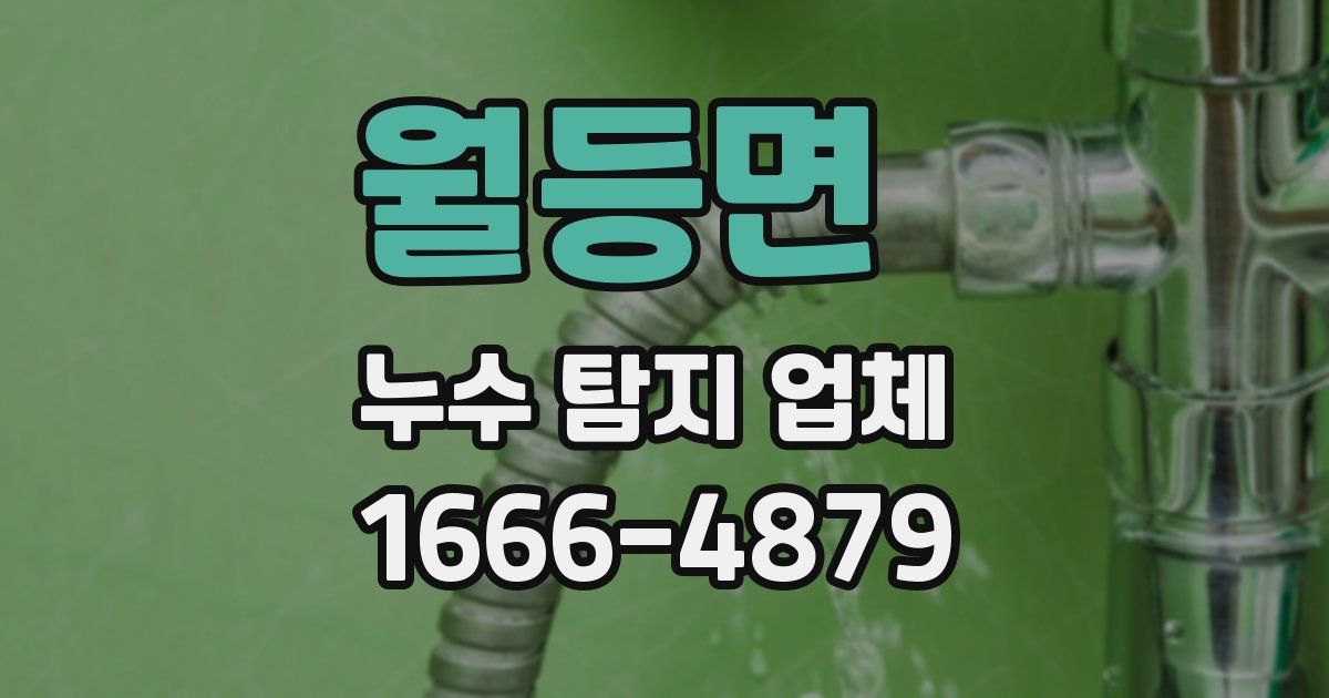 월등면 누수 탐지 업체