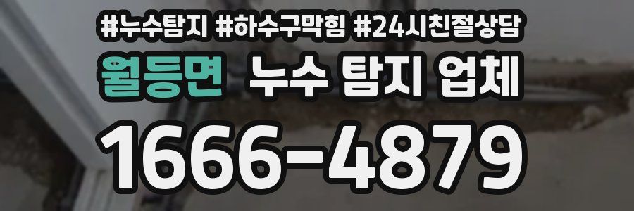 월등면 누수 탐지 업체