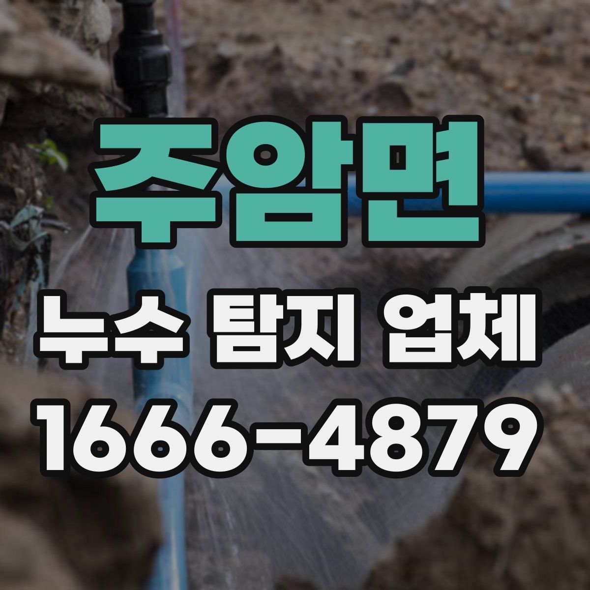 주암면 누수 탐지 업체