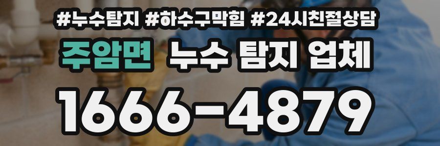 주암면 누수 탐지 업체