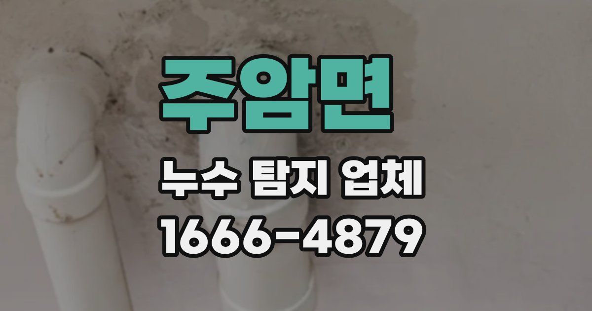 주암면 누수 탐지 업체