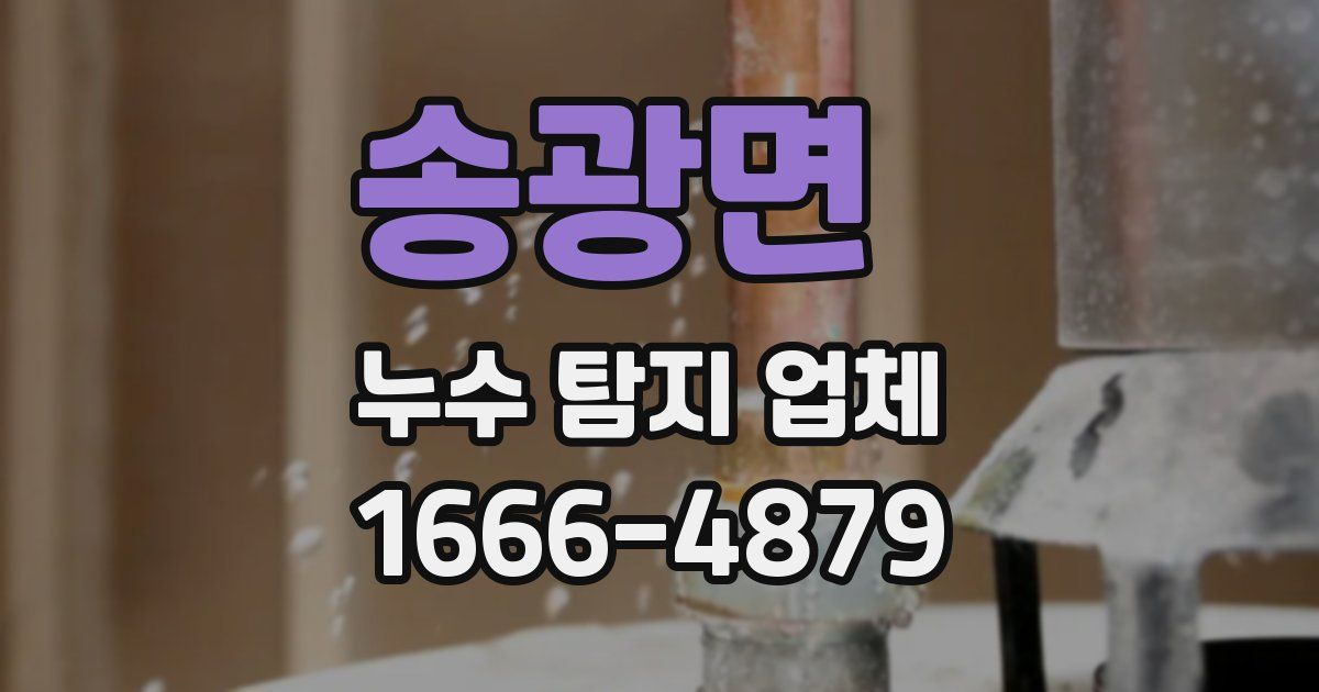 송광면 누수 탐지 업체
