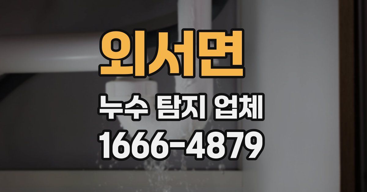 외서면 누수 탐지 업체