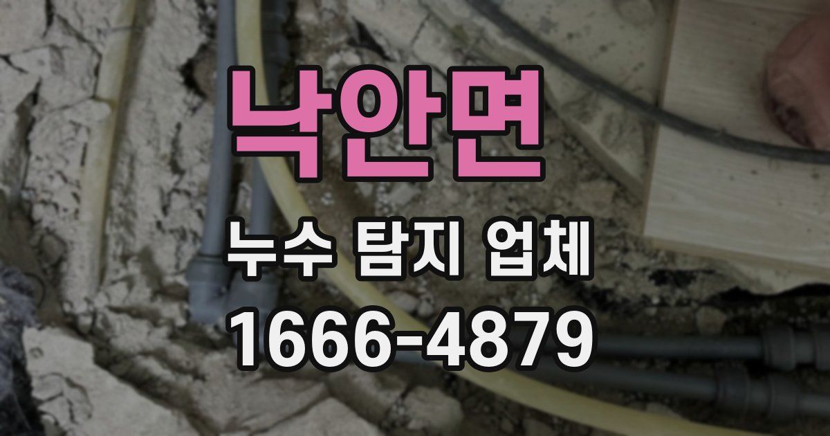 낙안면 누수 탐지 업체