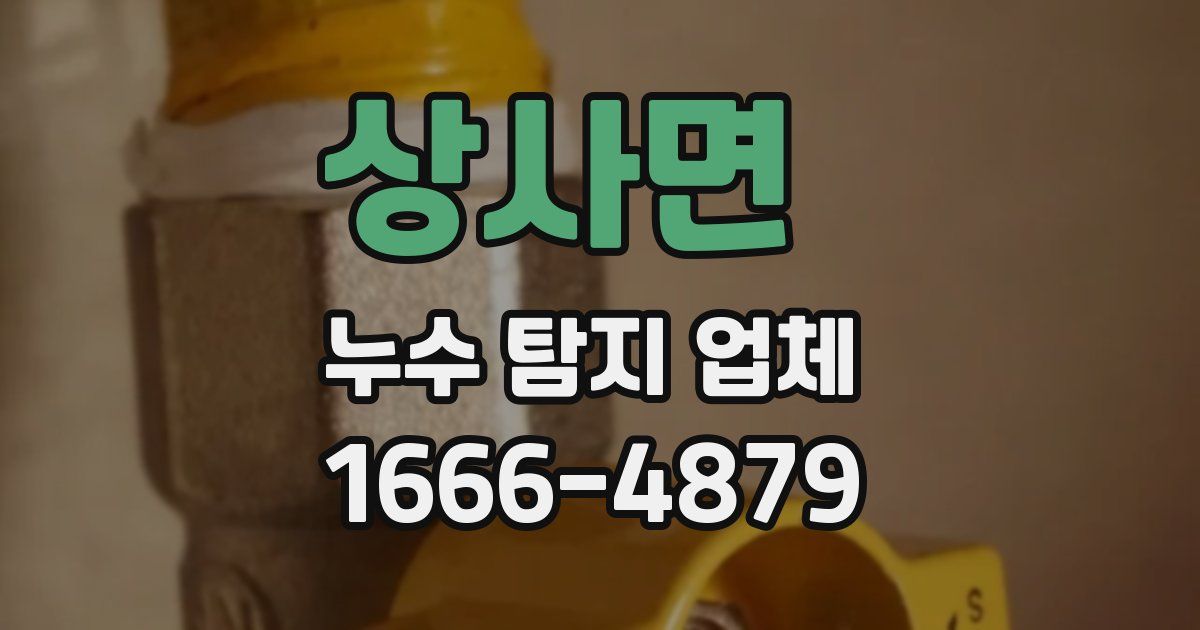상사면 누수 탐지 업체
