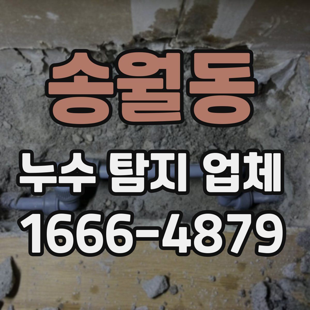 송월동 누수 탐지 업체