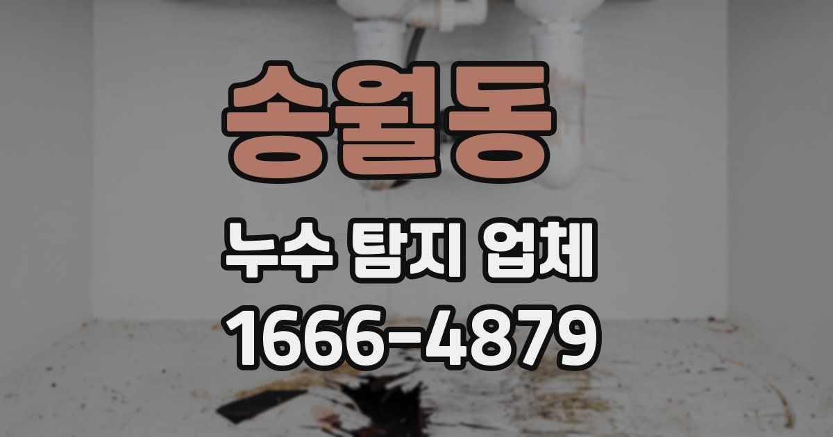 송월동 누수 탐지 업체