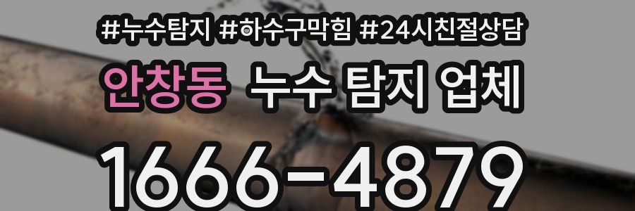 안창동 누수 탐지 업체