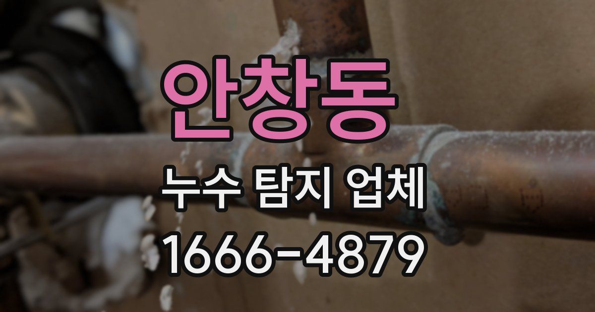 안창동 누수 탐지 업체