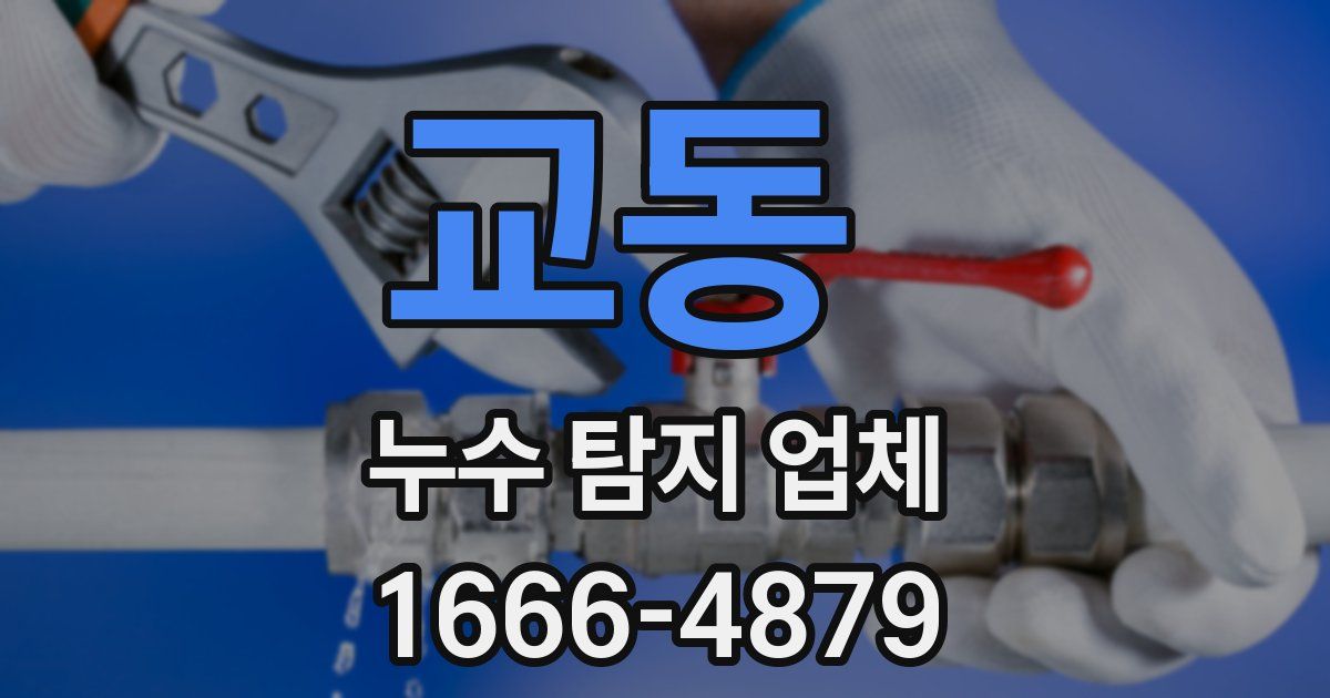 교동 누수 탐지 업체