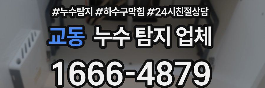 교동 누수 탐지 업체