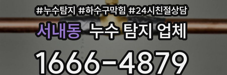 서내동 누수 탐지 업체