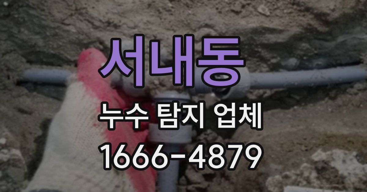 서내동 누수 탐지 업체
