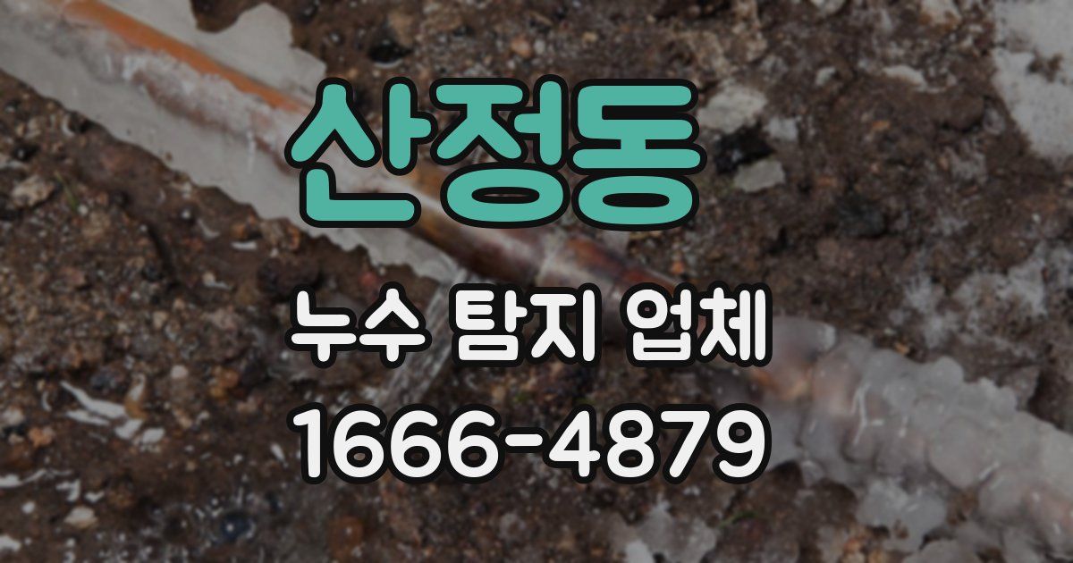 산정동 누수 탐지 업체