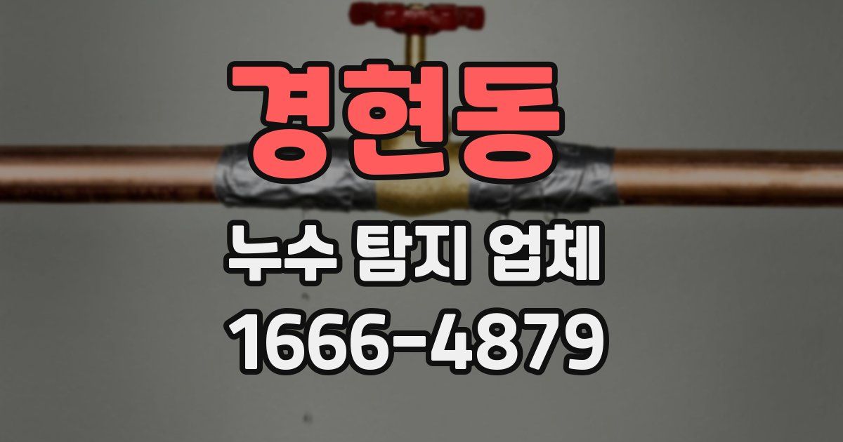 경현동 누수 탐지 업체