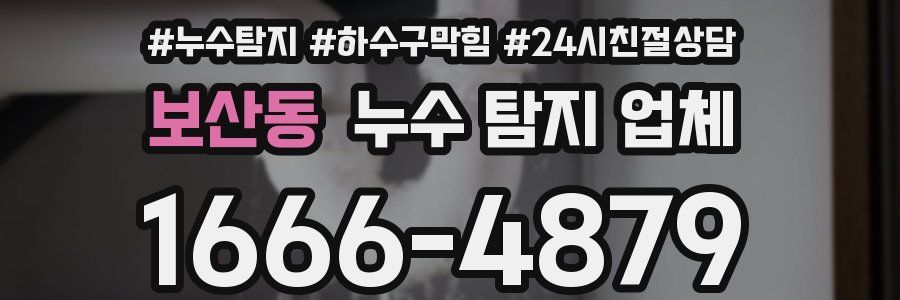 보산동 누수 탐지 업체