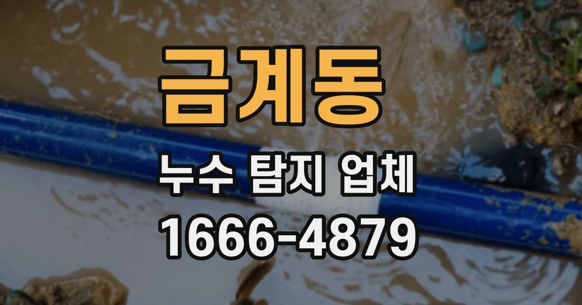금계동 누수 탐지 업체