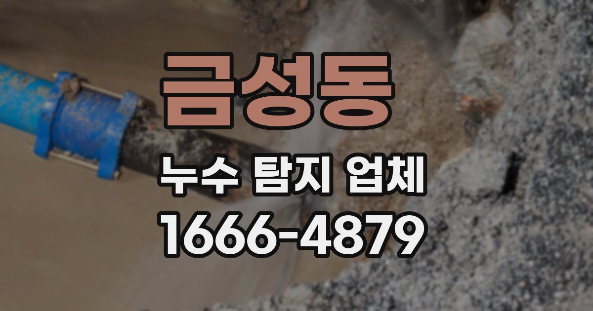 금성동 누수 탐지 업체