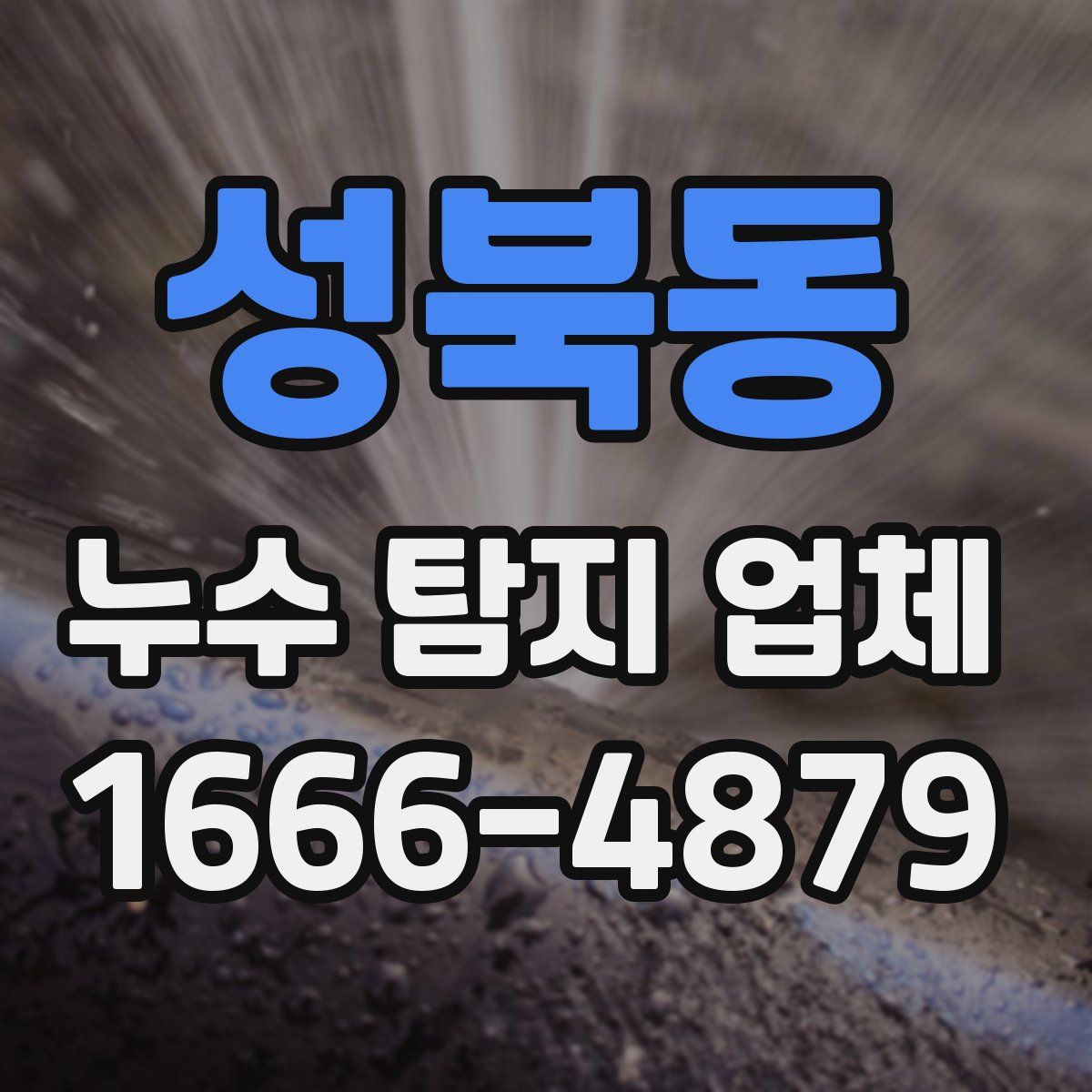 성북동 누수 탐지 업체