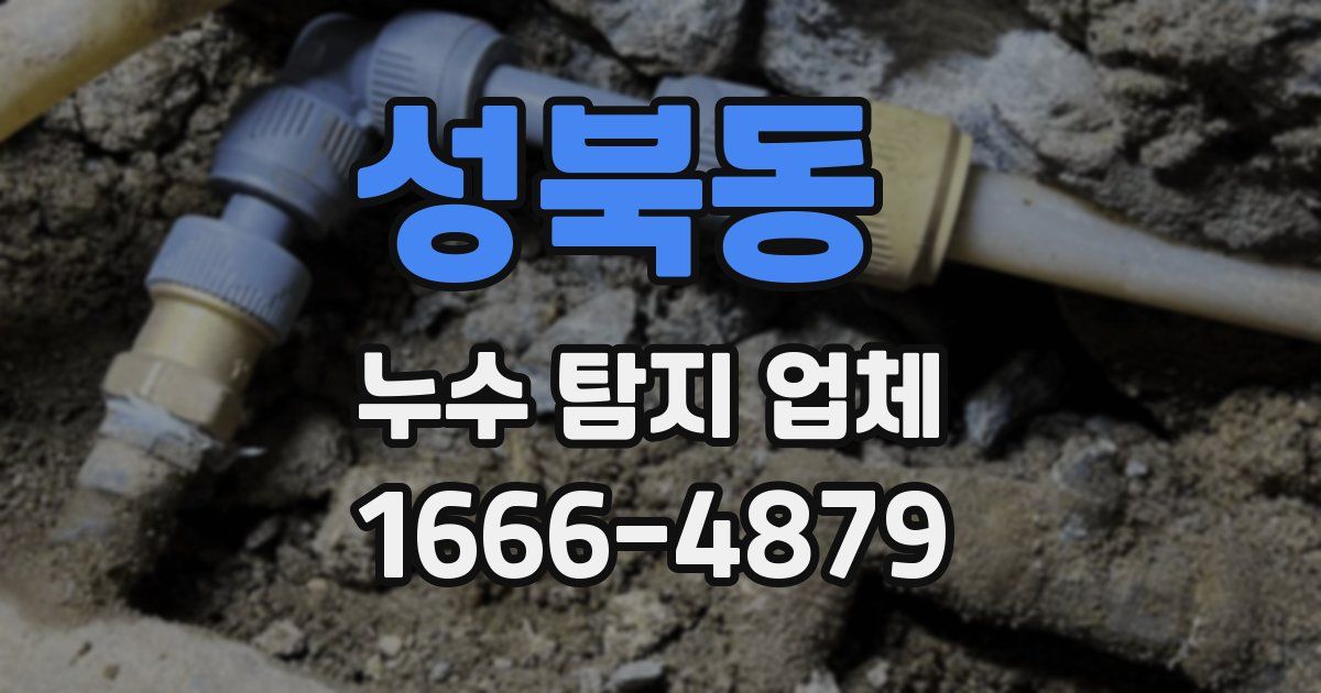 성북동 누수 탐지 업체