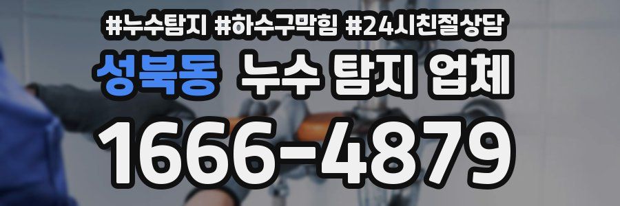 성북동 누수 탐지 업체