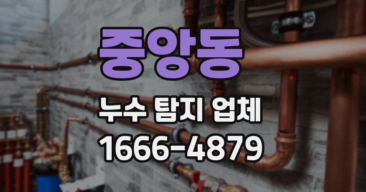 중앙동 누수 탐지 업체