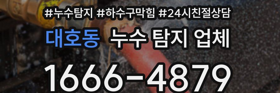 대호동 누수 탐지 업체