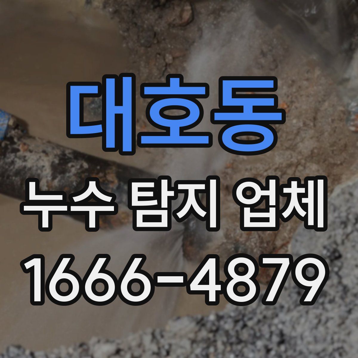 대호동 누수 탐지 업체