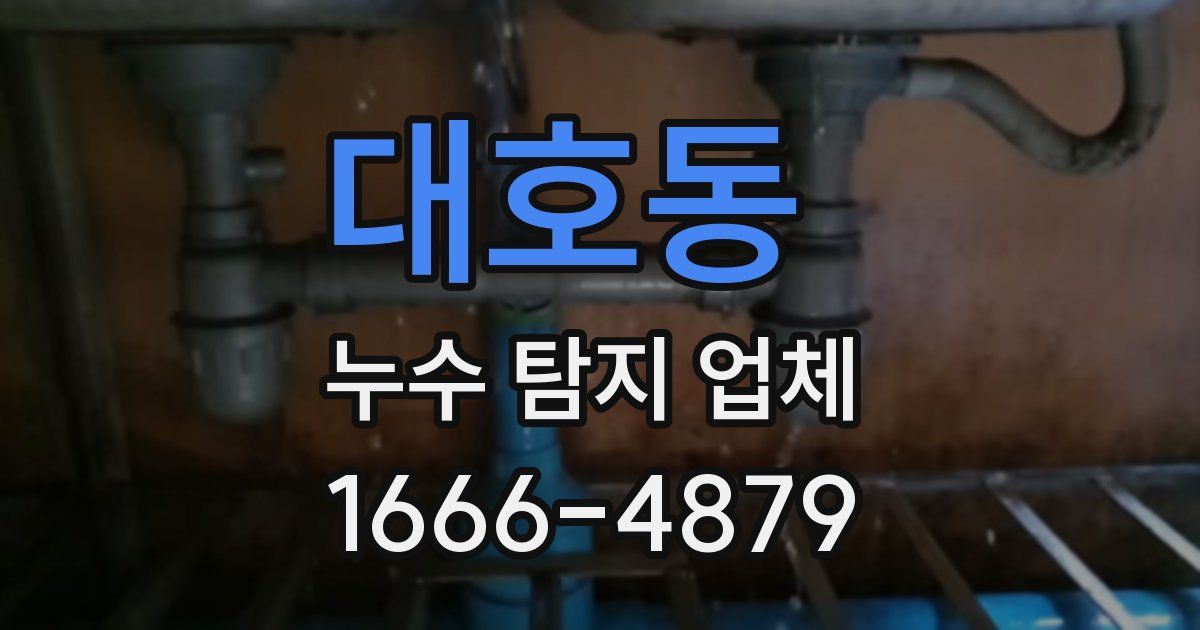 대호동 누수 탐지 업체