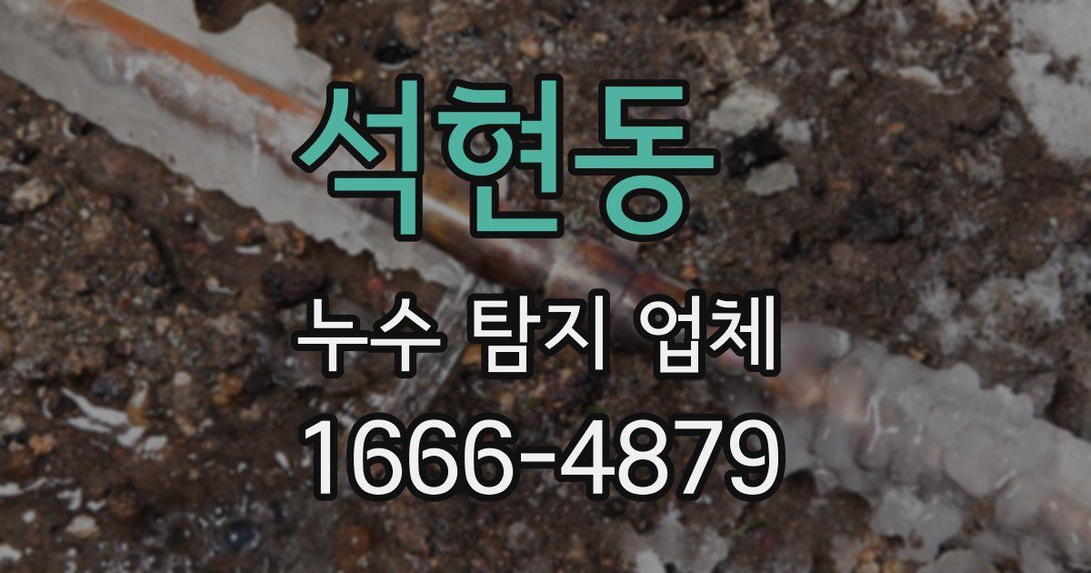 석현동 누수 탐지 업체