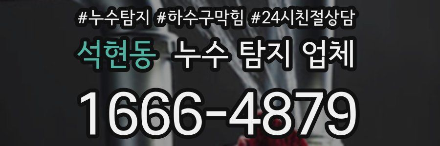 석현동 누수 탐지 업체