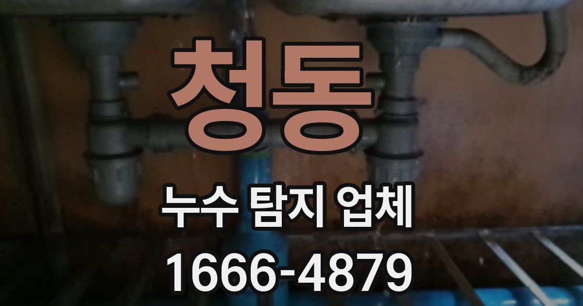청동 누수 탐지 업체