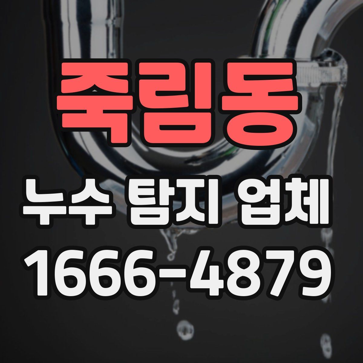 죽림동 누수 탐지 업체