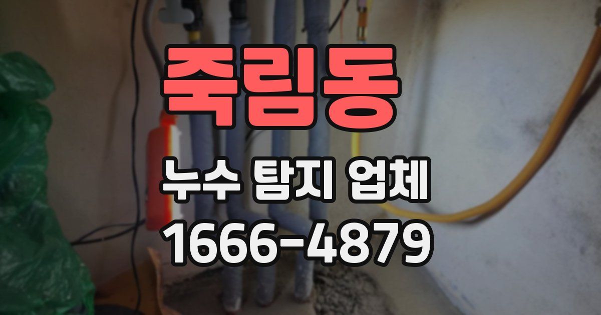 죽림동 누수 탐지 업체