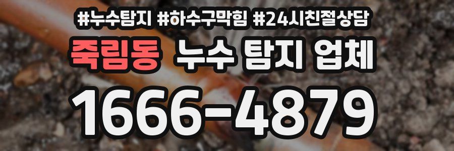 죽림동 누수 탐지 업체