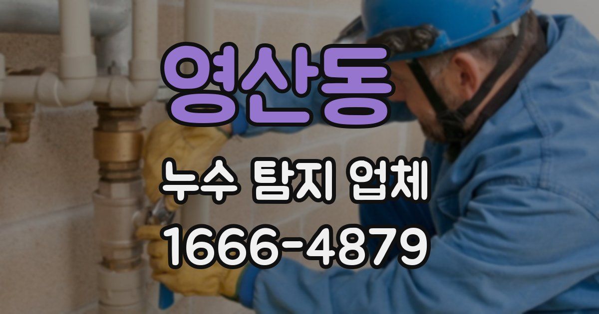 영산동 누수 탐지 업체