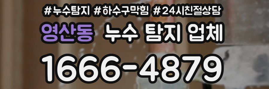 영산동 누수 탐지 업체