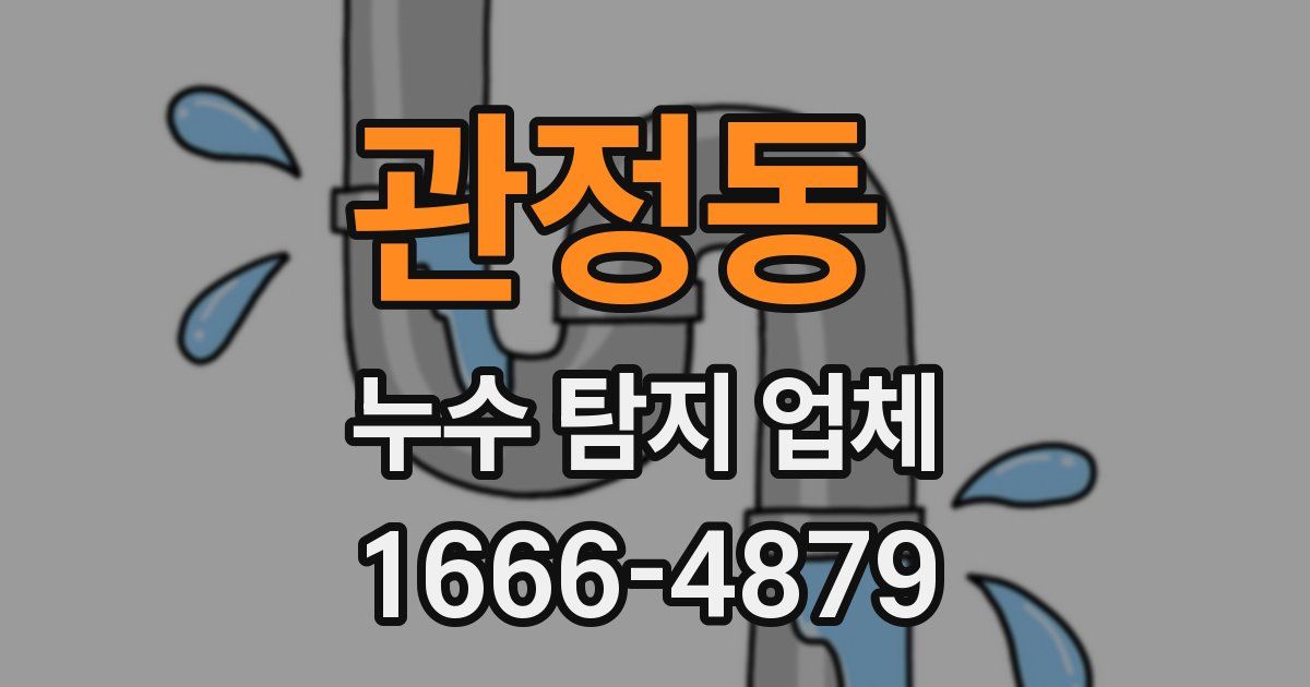 관정동 누수 탐지 업체