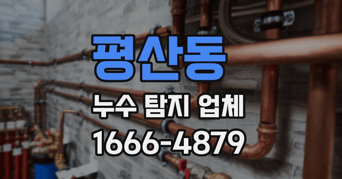 평산동 누수 탐지 업체