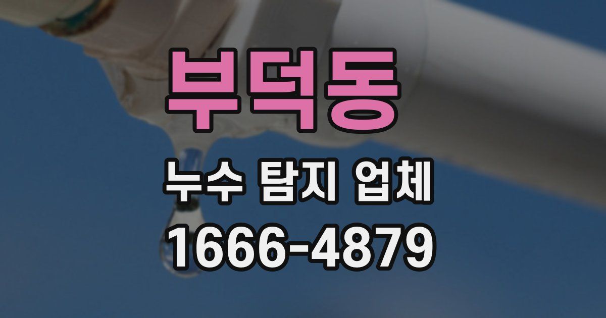 부덕동 누수 탐지 업체