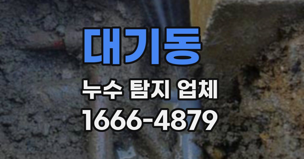 대기동 누수 탐지 업체