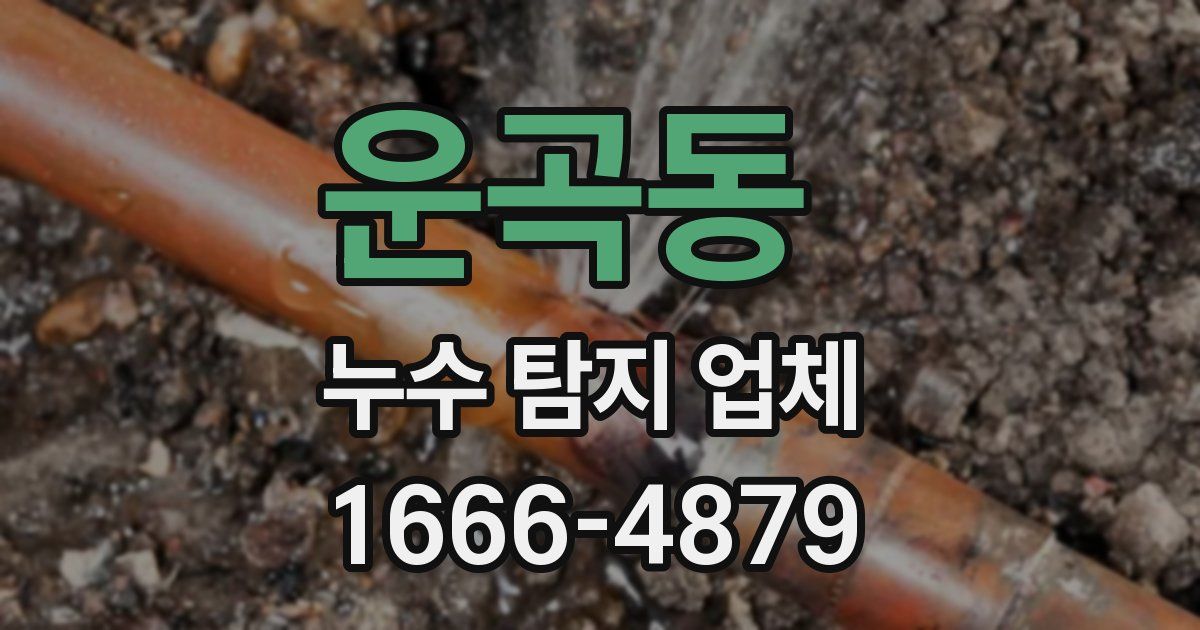 운곡동 누수 탐지 업체