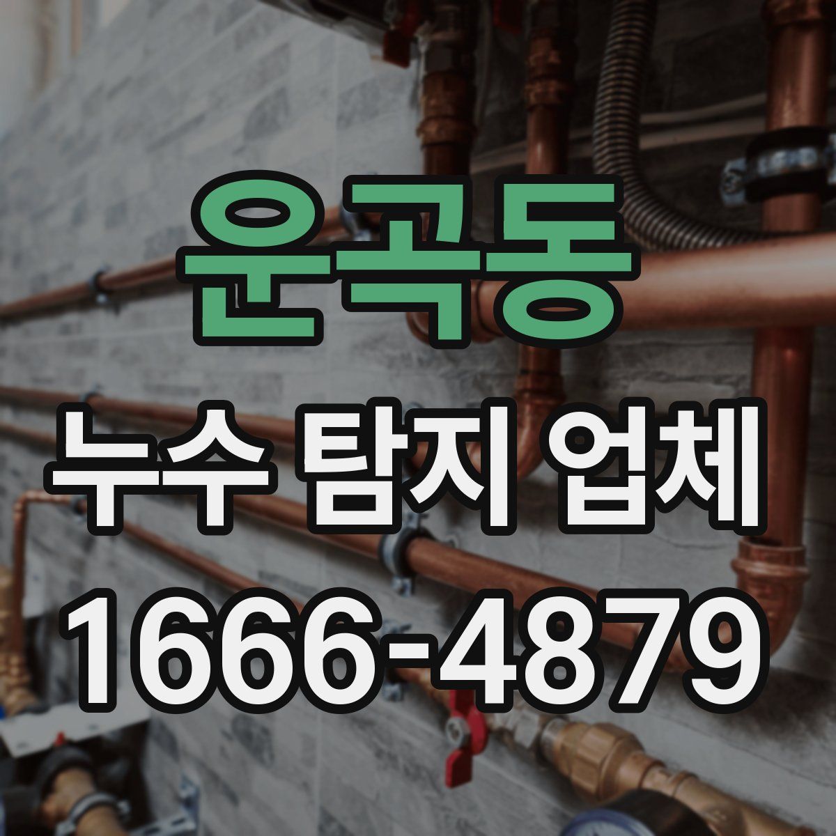운곡동 누수 탐지 업체
