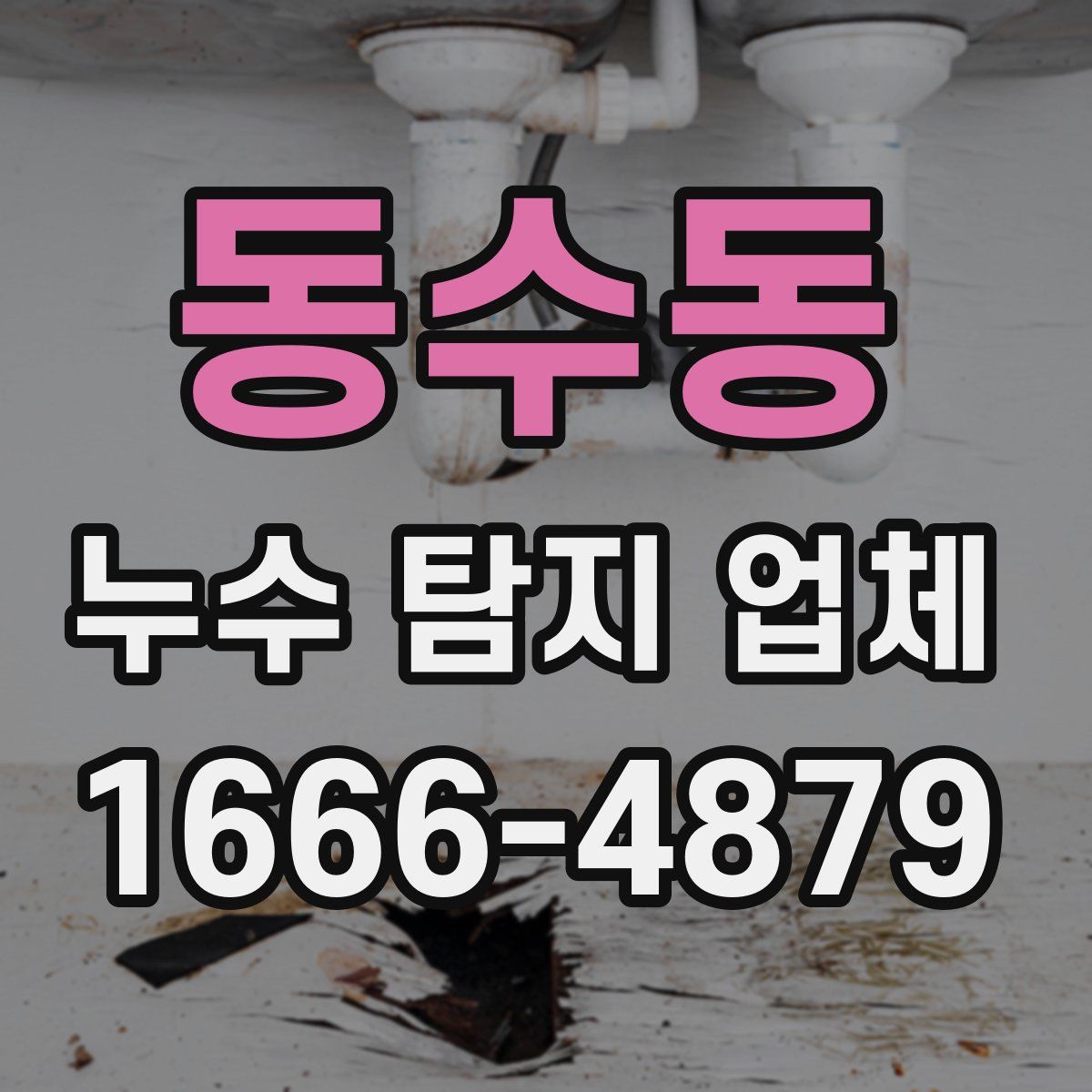 동수동 누수 탐지 업체