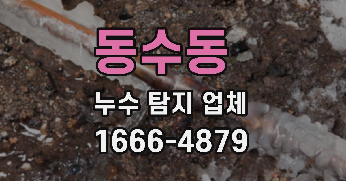 동수동 누수 탐지 업체