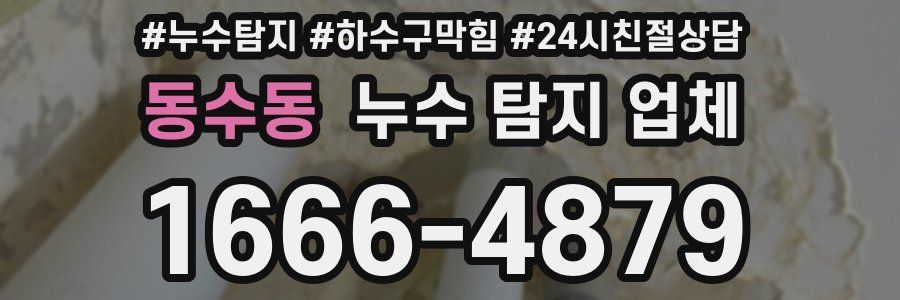동수동 누수 탐지 업체