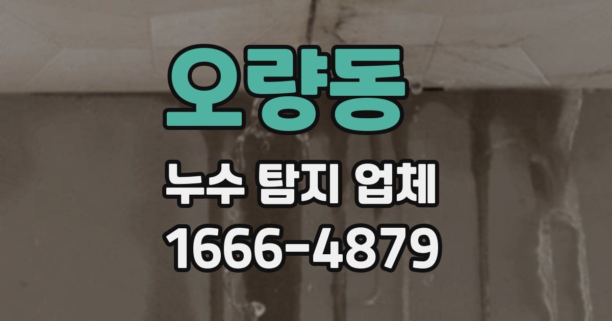 오량동 누수 탐지 업체